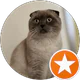 M K profil fotoğrafı