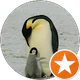mali akkoyun profil fotoğrafı