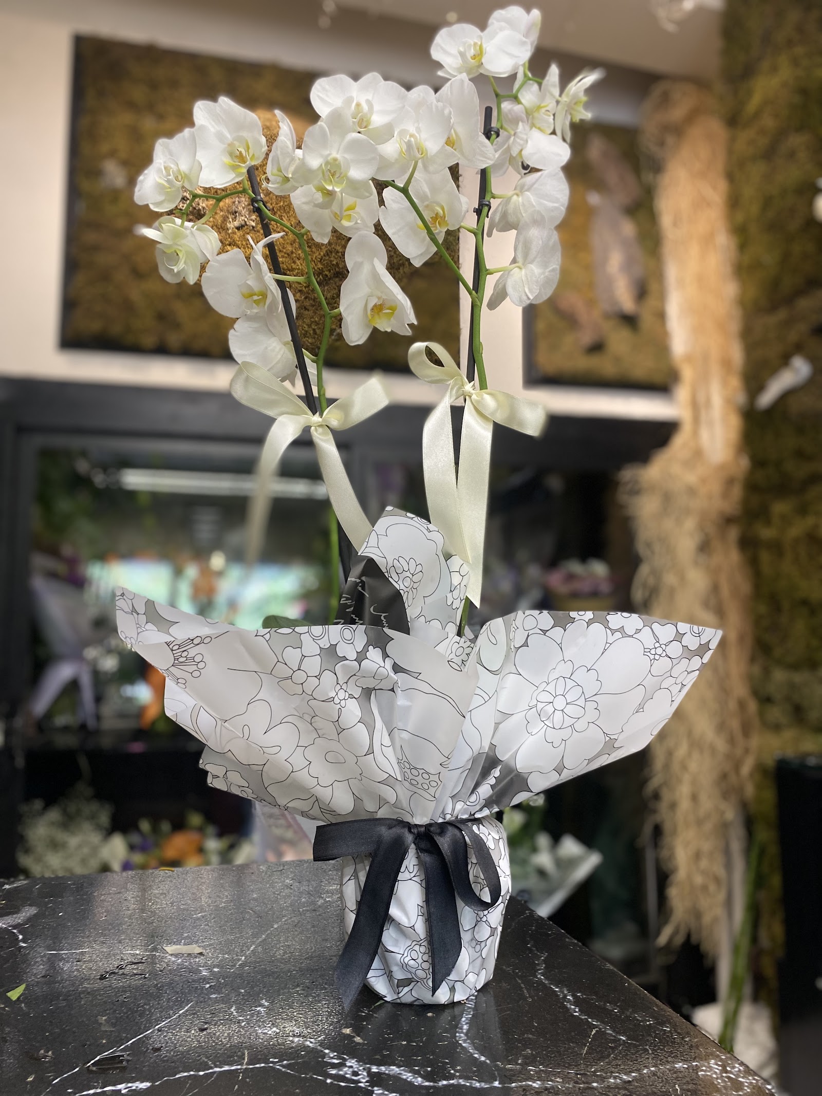 Orkide flower