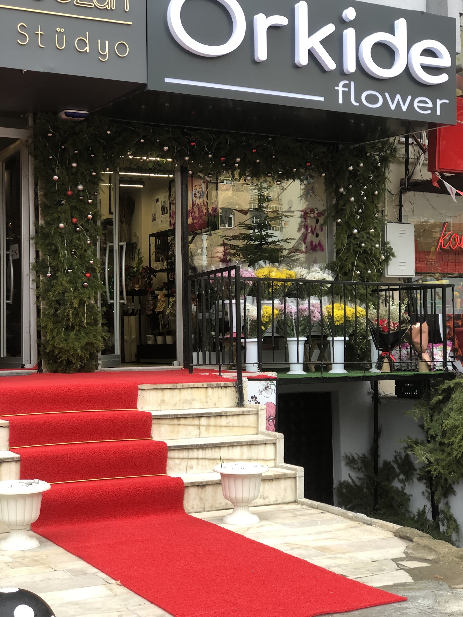 Orkide flower
