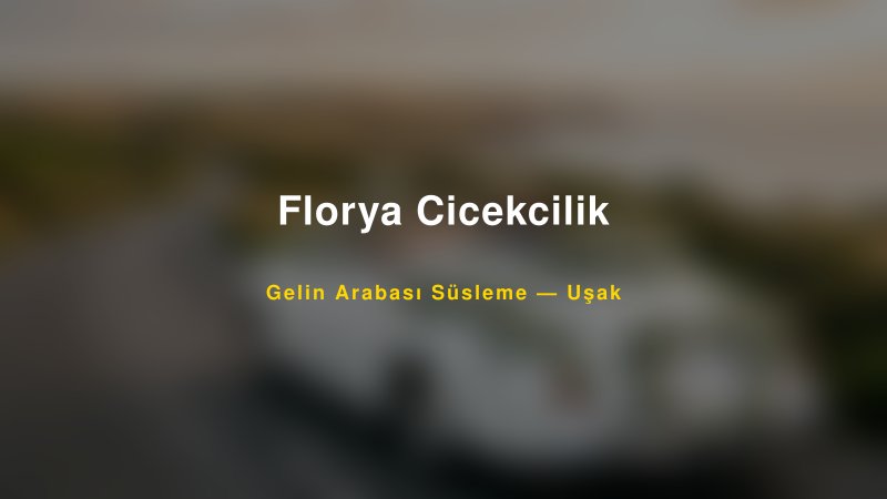 Florya Cicekcilik Uşak Gelin Arabası Süsleme