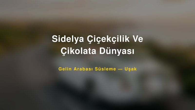 Sidelya Çiçekçilik Ve Çikolata Dünyası Uşak Gelin Arabası Süsleme