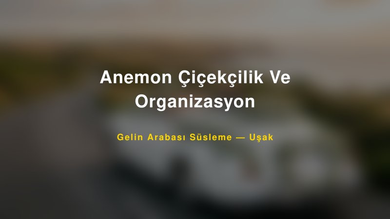 Anemon Çiçekçilik Ve Organizasyon — Uşak Kır Düğünü Mekanı Rehberi — 1