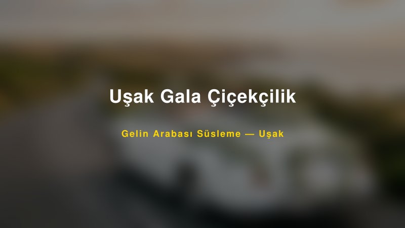 Uşak Gala Çiçekçilik ile Trend Gelin Arabası Yazıları ve Konseptleri — 1