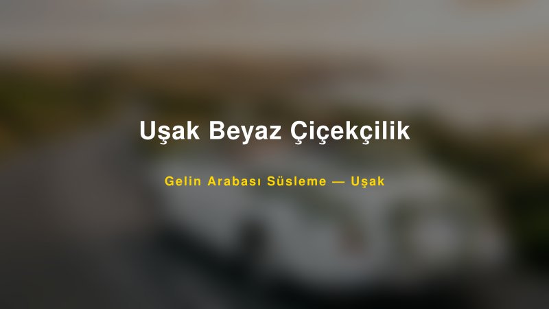 Uşak Beyaz Çiçekçilik Gelin Arabası Süsleme Fiyatları